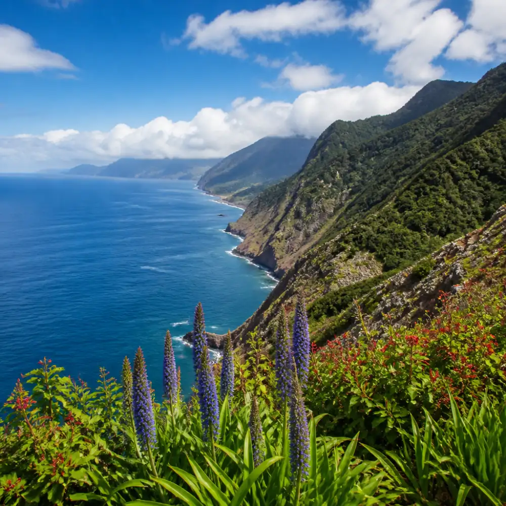 Madeira Poznávací Zájezd 2026